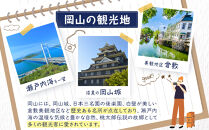 牛窓シーカヤック体験ツアー／ハーフデイトレイル&nbsp;（大人1名用）【瀬戸内海&nbsp;シーカヤックツアー&nbsp;ガイド付き&nbsp;3時間&nbsp;コース&nbsp;牛窓&nbsp;ウォータートレイル&nbsp;体験&nbsp;岡山県&nbsp;海&nbsp;夏&nbsp;アクティビティ&nbsp;旅行&nbsp;旅&nbsp;岡山&nbsp;おすすめ&nbsp;スポット&nbsp;人気】