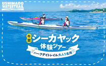 牛窓シーカヤック体験ツアー／ハーフデイトレイル&nbsp;（大人1名用）【瀬戸内海&nbsp;シーカヤックツアー&nbsp;ガイド付き&nbsp;3時間&nbsp;コース&nbsp;牛窓&nbsp;ウォータートレイル&nbsp;体験&nbsp;岡山県&nbsp;海&nbsp;夏&nbsp;アクティビティ&nbsp;旅行&nbsp;旅&nbsp;岡山&nbsp;おすすめ&nbsp;スポット&nbsp;人気】