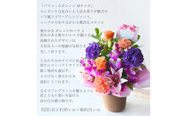 【母の日】パフュームオレンジMサイズ＜お届け日：2026年5/8～5/10&nbsp;当店おまかせ&nbsp;＞母の日カード付き【&nbsp;母の日&nbsp;ギフト&nbsp;アレンジ&nbsp;花&nbsp;贈り物&nbsp;大阪府&nbsp;門真市&nbsp;】