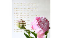 【母の日】ピンクシャンパーニュ＜お届け日：2026年5/4～5/10&nbsp;当店おまかせ&nbsp;＞母の日カード付き【&nbsp;母の日&nbsp;ギフト&nbsp;アレンジ&nbsp;花&nbsp;贈り物&nbsp;大阪府&nbsp;門真市&nbsp;】