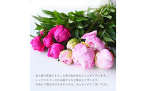 【母の日】ピンクシャンパーニュ＜お届け日：2026年5/4～5/10&nbsp;当店おまかせ&nbsp;＞母の日カード付き【&nbsp;母の日&nbsp;ギフト&nbsp;アレンジ&nbsp;花&nbsp;贈り物&nbsp;大阪府&nbsp;門真市&nbsp;】