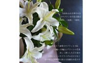 【母の日】カサブランカ３本とグリーンの花束＜お届け日：2026年5/4～5/10&nbsp;当店おまかせ&nbsp;＞母の日カード付き【&nbsp;母の日&nbsp;ギフト&nbsp;アレンジ&nbsp;花&nbsp;贈り物&nbsp;大阪府&nbsp;門真市&nbsp;】