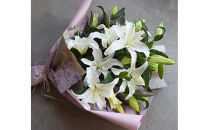 【母の日】カサブランカ５本とグリーンの花束＜お届け日：2026年5/4～5/10&nbsp;当店おまかせ&nbsp;＞母の日カード付き【&nbsp;母の日&nbsp;ギフト&nbsp;アレンジ&nbsp;花&nbsp;贈り物&nbsp;大阪府&nbsp;門真市&nbsp;】