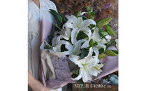 【母の日】カサブランカ５本とグリーンの花束＜お届け日：2026年5/4～5/10&nbsp;当店おまかせ&nbsp;＞母の日カード付き【&nbsp;母の日&nbsp;ギフト&nbsp;アレンジ&nbsp;花&nbsp;贈り物&nbsp;大阪府&nbsp;門真市&nbsp;】