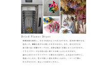 【母の日】プレミアムドライフラワー・ブーケ　アルモニーパステル＜お届け日：2026年5/4～5/10&nbsp;当店おまかせ&nbsp;＞母の日カード付き【&nbsp;母の日&nbsp;ギフト&nbsp;アレンジ&nbsp;花&nbsp;贈り物&nbsp;大阪府&nbsp;門真市&nbsp;】