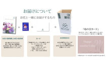 【母の日】ピーチジェラート＜お届け日：2026年5/4～5/10&nbsp;当店おまかせ&nbsp;＞母の日カード付き【&nbsp;母の日&nbsp;ギフト&nbsp;アレンジ&nbsp;花&nbsp;贈り物&nbsp;大阪府&nbsp;門真市&nbsp;】