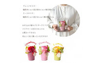 【母の日】ピーチジェラート＜お届け日：2026年5/4～5/10&nbsp;当店おまかせ&nbsp;＞母の日カード付き【&nbsp;母の日&nbsp;ギフト&nbsp;アレンジ&nbsp;花&nbsp;贈り物&nbsp;大阪府&nbsp;門真市&nbsp;】