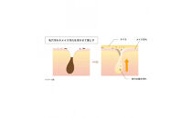 オルモニカ&nbsp;ピュリファイング&nbsp;クレンジングオイル&nbsp;150ｍL