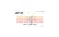 オルモニカ&nbsp;ピュリファイング&nbsp;ウォッシュ&nbsp;100g