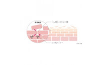 オルモニカ&nbsp;ピュリファイング&nbsp;ブースターセラム&nbsp;30ｍL