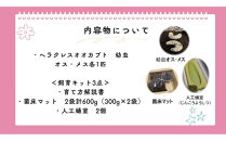 【虹色Farm】ヘラクレスオオカブト&nbsp;幼虫2匹(ペア)飼育キット3点付(育て方解説書・菌床マット・人工蛹室)｜京都&nbsp;オオカブト&nbsp;人気［&nbsp;カブトムシ&nbsp;ヘラクレスオオカブト&nbsp;成虫&nbsp;オス&nbsp;メス&nbsp;人気&nbsp;おすすめ&nbsp;自由研究&nbsp;夏休み&nbsp;体験&nbsp;自然&nbsp;虫&nbsp;お取り寄せ&nbsp;通販&nbsp;送料無料&nbsp;ふるさと納税&nbsp;］