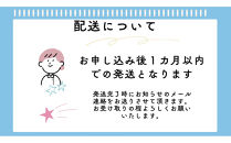 【虹色Farm】ヘラクレスオオカブト&nbsp;幼虫2匹(ペア)飼育キット3点付(育て方解説書・菌床マット・人工蛹室)｜京都&nbsp;オオカブト&nbsp;人気［&nbsp;カブトムシ&nbsp;ヘラクレスオオカブト&nbsp;成虫&nbsp;オス&nbsp;メス&nbsp;人気&nbsp;おすすめ&nbsp;自由研究&nbsp;夏休み&nbsp;体験&nbsp;自然&nbsp;虫&nbsp;お取り寄せ&nbsp;通販&nbsp;送料無料&nbsp;ふるさと納税&nbsp;］