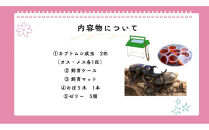 《先行受付・2026年7月お届け》【虹色Farm】国産カブトムシ成虫1ペア(飼育キット付)&nbsp;｜京都&nbsp;オオカブト&nbsp;人気［&nbsp;カブトムシ&nbsp;国産&nbsp;成虫&nbsp;オス&nbsp;メス&nbsp;飼育キット付&nbsp;ケースマット&nbsp;のぼり木&nbsp;ゼリー&nbsp;&nbsp;人気&nbsp;おすすめ&nbsp;自由研究&nbsp;夏休み&nbsp;体験&nbsp;自然&nbsp;虫&nbsp;お取り寄せ&nbsp;通販&nbsp;送料無料&nbsp;ふるさと納税&nbsp;］