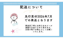 《先行受付・2026年7月お届け》【虹色Farm】国産カブトムシ成虫1ペア(飼育キット付)&nbsp;｜京都&nbsp;オオカブト&nbsp;人気［&nbsp;カブトムシ&nbsp;国産&nbsp;成虫&nbsp;オス&nbsp;メス&nbsp;飼育キット付&nbsp;ケースマット&nbsp;のぼり木&nbsp;ゼリー&nbsp;&nbsp;人気&nbsp;おすすめ&nbsp;自由研究&nbsp;夏休み&nbsp;体験&nbsp;自然&nbsp;虫&nbsp;お取り寄せ&nbsp;通販&nbsp;送料無料&nbsp;ふるさと納税&nbsp;］