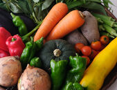 ＜5か月定期便＞2027年発送【緑のゆうき】購入された野菜の売上の1％が、社会貢献に&nbsp;京都産のこだわり野菜（有機野菜、栽培期間中農薬・化学肥料不使用など）を&nbsp;美味しいタイミングで収穫したセット	