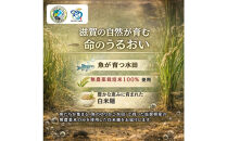 無農薬・グルテンフリー&nbsp;滋賀県野洲市産&nbsp;白米麺&nbsp;7食セット&nbsp;100g×7袋