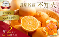 夏季まで美味しさを保つ、長期貯蔵「不知火」約2kg