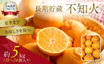 夏季まで美味しさを保つ、長期貯蔵「不知火」　約5Kg