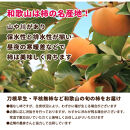 ［先行予約］家庭用&nbsp;たねなし柿&nbsp;約2.5kg［訳あり］［刀根早生・平核無柿（ひらたねなしかき）］［カキ・種無柿・種無し柿・種なし柿・無核柿］［IKE318］