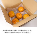 ［先行予約］家庭用&nbsp;たねなし柿&nbsp;約7.5kg［訳あり］［刀根早生・平核無柿（ひらたねなしかき）］［カキ・種無柿・種無し柿・種なし柿・無核柿］［IKE320］