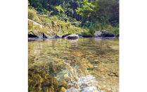 令和7年産&nbsp;原田農園玄米5kg