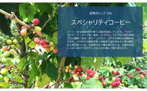 Botanical&nbsp;Blend&nbsp;Coffee―海のリズムで整える3つの時&nbsp;ドリップ珈琲セット(12袋×各8g)&nbsp;【鳥取県&nbsp;境港市】