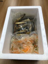 サバ南蛮漬け(計1.4kg/野菜付き)&nbsp;|&nbsp;南蛮漬け&nbsp;魚の南蛮漬け&nbsp;アジ南蛮&nbsp;サバ南蛮&nbsp;鯵&nbsp;鯖&nbsp;魚料理&nbsp;惣菜&nbsp;おかず&nbsp;海鮮&nbsp;魚介&nbsp;魚介類&nbsp;野菜入り&nbsp;甘酢漬け&nbsp;さっぱり&nbsp;たっぷり&nbsp;大容量&nbsp;冷蔵&nbsp;冷凍&nbsp;保存&nbsp;食べやすい&nbsp;家庭用&nbsp;お取り寄せ&nbsp;グルメ&nbsp;人気&nbsp;おすすめ&nbsp;鳥取県&nbsp;境港市
