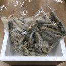 アジ南蛮漬け(計1kg)&nbsp;|&nbsp;南蛮漬け&nbsp;魚の南蛮漬け&nbsp;アジ南蛮&nbsp;サバ南蛮&nbsp;鯵&nbsp;鯖&nbsp;魚料理&nbsp;惣菜&nbsp;おかず&nbsp;海鮮&nbsp;魚介&nbsp;魚介類&nbsp;野菜入り&nbsp;甘酢漬け&nbsp;さっぱり&nbsp;たっぷり&nbsp;大容量&nbsp;冷蔵&nbsp;冷凍&nbsp;保存&nbsp;食べやすい&nbsp;家庭用&nbsp;お取り寄せ&nbsp;グルメ&nbsp;人気&nbsp;おすすめ&nbsp;鳥取県&nbsp;境港市