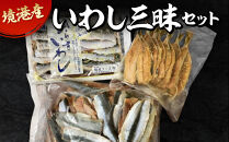 境港産いわし三昧セット(フィレ、ひらき、みりん干し)　【鳥取県&nbsp;境港市】