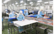 ＜新規格＞鳥取県産活〆「境港サーモン」(定塩・塩鮭切り身)(1/4カット真空パック×4・合計約1.5kg)