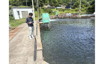 ＜新規格＞鳥取県産活〆「境港サーモン」(定塩・塩鮭切り身)(1/4カット真空パック×4・合計約1.5kg)