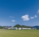 鳥取和牛恩田さくら和牛セット(ヒレ計300g・サーロイン計360g)