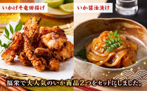網元自慢のこだわりいかセット(2種・計850g)&nbsp;【鳥取県&nbsp;境港市】