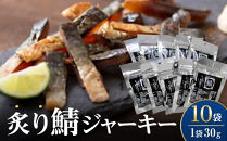 炙り鯖ジャーキー(30g×10袋)　【鳥取県&nbsp;境港市】