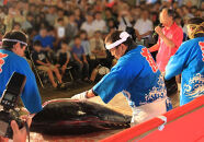 ＜数量限定＞まぐろ専門店「まぐろ屋DOI」の解体ショー(最大10名で参加可能)