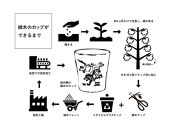 伯州綿の綿木のカップ(1個)