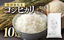 ＜令和7年産・2025年10月中旬以降順次発送予定＞＜数量限定＞特別栽培米！兎米-UMAI-&nbsp;コシヒカリ(10kg)&nbsp;|&nbsp;米&nbsp;お米&nbsp;コシヒカリ&nbsp;白米&nbsp;精米&nbsp;特別栽培米&nbsp;低農薬&nbsp;栽培米&nbsp;ブランド米&nbsp;国産米&nbsp;鳥取県産&nbsp;大容量&nbsp;甘い&nbsp;ふっくら&nbsp;もちもち&nbsp;炊きたて&nbsp;主食&nbsp;家庭用&nbsp;食材&nbsp;お取り寄せ&nbsp;人気&nbsp;おすすめ&nbsp;鳥取県&nbsp;境港市