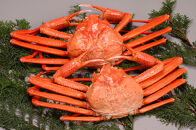 境港産　松葉がに・紅ずわいがに　食べ比べセット