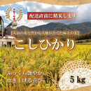 ＜令和7年産＞山崎農園のこしひかり(精米・5kg)&nbsp;【鳥取県&nbsp;境港市】
