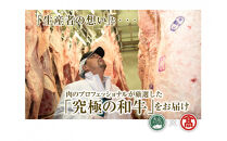 ＜HANAFUSA＞大山黒牛焼肉セット(モモ800g・ロース800g)【T-AC16】【大山ブランド会】&nbsp;【鳥取県&nbsp;境港市】