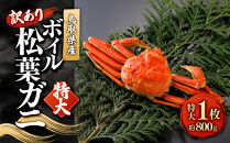 ＜11月中旬～2月下旬配送予定＞鳥取県産　訳ありボイル松葉ガニ(特大1枚)&nbsp;|&nbsp;松葉ガニ&nbsp;松葉がに&nbsp;ズワイガニ&nbsp;蟹&nbsp;かに&nbsp;カニ&nbsp;ボイル&nbsp;茹で&nbsp;カニ姿&nbsp;丸ごと&nbsp;訳あり&nbsp;足折れ&nbsp;足欠け&nbsp;特大サイズ&nbsp;冬限定&nbsp;期間限定&nbsp;高級食材&nbsp;家庭用&nbsp;&nbsp;&nbsp;お取り寄せ&nbsp;グルメ&nbsp;人気&nbsp;おすすめ&nbsp;国産&nbsp;鳥取県&nbsp;境港市