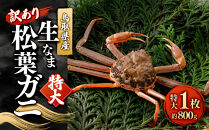 ＜11月中旬～2月下旬配送予定＞鳥取県産　訳あり生松葉ガニ(特大1枚)&nbsp;|&nbsp;松葉ガニ&nbsp;生松葉ガニ&nbsp;生ガニ&nbsp;蟹&nbsp;かに&nbsp;カニ&nbsp;カニ姿&nbsp;丸ごと&nbsp;訳あり&nbsp;特大サイズ&nbsp;冬限定&nbsp;期間限定&nbsp;&nbsp;&nbsp;鍋&nbsp;焼きガニ&nbsp;高級食材&nbsp;&nbsp;&nbsp;家庭用&nbsp;お取り寄せ&nbsp;グルメ&nbsp;人気&nbsp;おすすめ&nbsp;国産&nbsp;鳥取県&nbsp;境港市