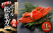 ＜11月中旬～2月下旬配送予定＞鳥取県産　ボイル松葉ガニ（タグ付き）特大1枚&nbsp;|&nbsp;松葉ガニ&nbsp;タグ付き&nbsp;ブランド蟹&nbsp;ボイル&nbsp;茹で&nbsp;カニ姿&nbsp;丸ごと&nbsp;特大サイズ&nbsp;高級食材&nbsp;贅沢食材&nbsp;冬限定&nbsp;期間限定&nbsp;カニ味噌&nbsp;濃厚&nbsp;&nbsp;&nbsp;ギフト&nbsp;贈り物&nbsp;お取り寄せ&nbsp;グルメ&nbsp;人気&nbsp;おすすめ&nbsp;国産&nbsp;鳥取県&nbsp;境港市