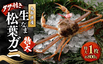 ＜11月中旬～2月下旬配送予定＞鳥取県産　生松葉ガニ（タグ付き）特大1枚&nbsp;|&nbsp;松葉ガニ&nbsp;タグ付き&nbsp;生松葉ガニ&nbsp;ブランド蟹&nbsp;蟹&nbsp;かに&nbsp;カニ&nbsp;カニ姿&nbsp;丸ごと&nbsp;特大サイズ&nbsp;高級食材&nbsp;鍋&nbsp;焼きガニ&nbsp;贅沢&nbsp;冬限定&nbsp;期間限定&nbsp;&nbsp;&nbsp;ギフト&nbsp;贈り物&nbsp;お取り寄せ&nbsp;グルメ&nbsp;人気&nbsp;おすすめ&nbsp;国産&nbsp;鳥取県&nbsp;境港市