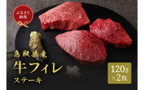 ＜和牛セレブ＞鳥取県産牛フィレ(ヒレ)ステーキ(120g×2枚)&nbsp;|&nbsp;牛肉&nbsp;和牛&nbsp;鳥取和牛&nbsp;フィレ&nbsp;ヒレ&nbsp;ヒレ肉&nbsp;フィレステーキ&nbsp;ステーキ&nbsp;高級部位&nbsp;&nbsp;贅沢食材&nbsp;ごちそう&nbsp;記念日&nbsp;ディナー&nbsp;家庭用&nbsp;冷凍&nbsp;保存&nbsp;ギフト&nbsp;贈答用&nbsp;プレゼント&nbsp;お取り寄せ&nbsp;グルメ&nbsp;人気&nbsp;おすすめ&nbsp;鳥取県&nbsp;境港市