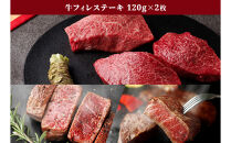 ＜和牛セレブ＞鳥取県産牛フィレ(ヒレ)ステーキ(120g×2枚)&nbsp;|&nbsp;牛肉&nbsp;和牛&nbsp;鳥取和牛&nbsp;フィレ&nbsp;ヒレ&nbsp;ヒレ肉&nbsp;フィレステーキ&nbsp;ステーキ&nbsp;高級部位&nbsp;&nbsp;贅沢食材&nbsp;ごちそう&nbsp;記念日&nbsp;ディナー&nbsp;家庭用&nbsp;冷凍&nbsp;保存&nbsp;ギフト&nbsp;贈答用&nbsp;プレゼント&nbsp;お取り寄せ&nbsp;グルメ&nbsp;人気&nbsp;おすすめ&nbsp;鳥取県&nbsp;境港市