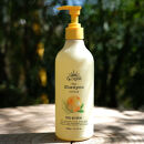 ＜15/e&nbsp;organic＞ザ・シャンプー(シトラス・500ml)【鳥取県&nbsp;境港市】