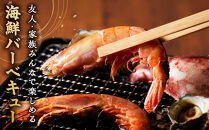 ＜数量限定＞海鮮BBQセット4種(2～3人前)【鳥取県&nbsp;境港市】