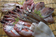 こだわりの一夜干詰合せ(4～5種類)