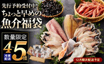 ＜先行予約受付中！数量限定！12月順次配送予定＞ちょっと早めの魚介福袋(4～5種類)&nbsp;【鳥取県&nbsp;境港市】